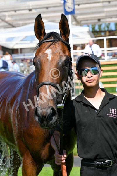 110725-Race 3-Bosa Nova-0291 - Race 3 3.20pm Ire-Incentive, It Pays To Buy Irish EBF Fillies' Novice Stakes