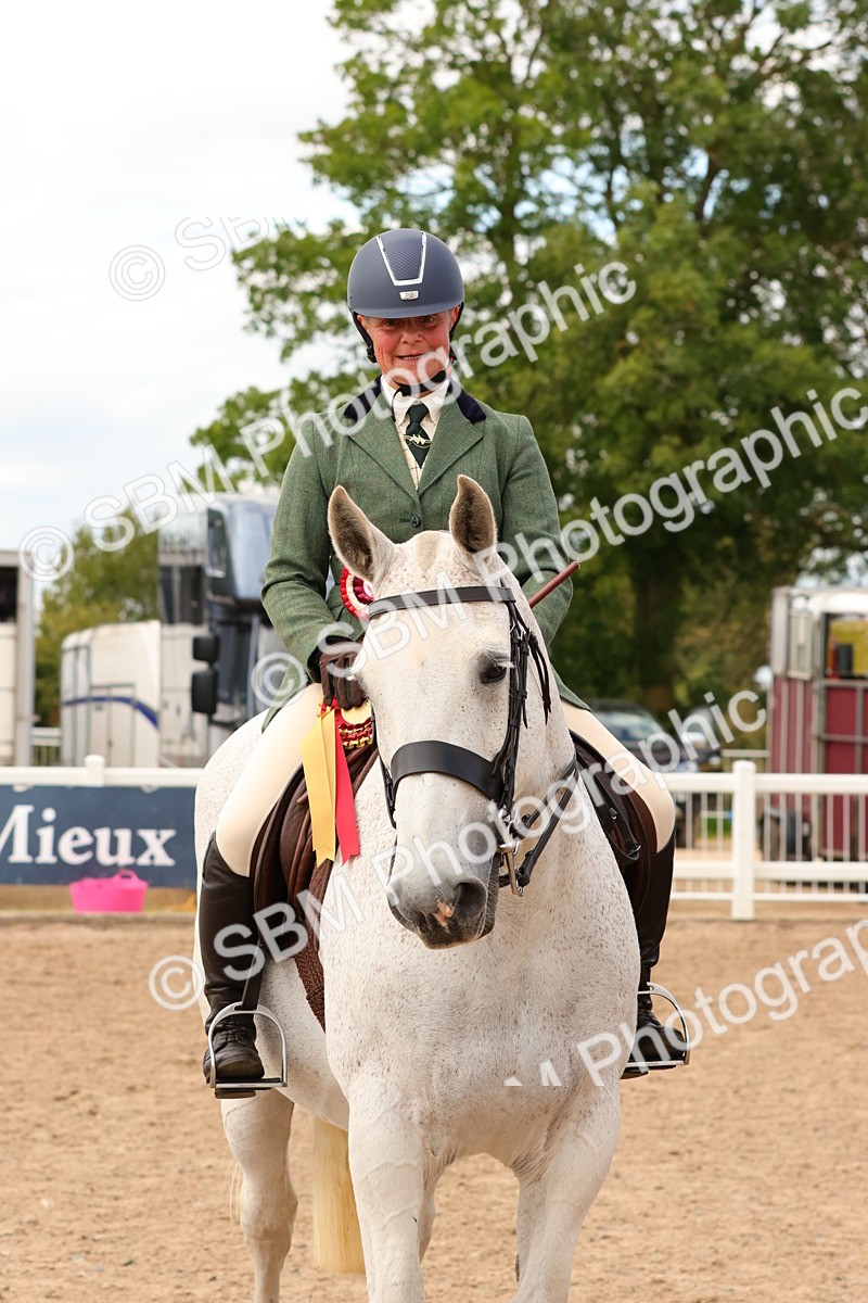 SBM_15585 - Class 214 - Ridden Show Cob