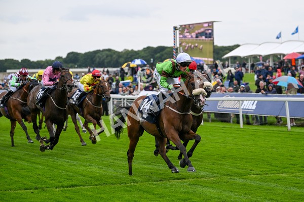 120724-Race 1-Tolstoy-5613 - Race 1 2.05pm William Hill Extra Place Races Daily Handicap