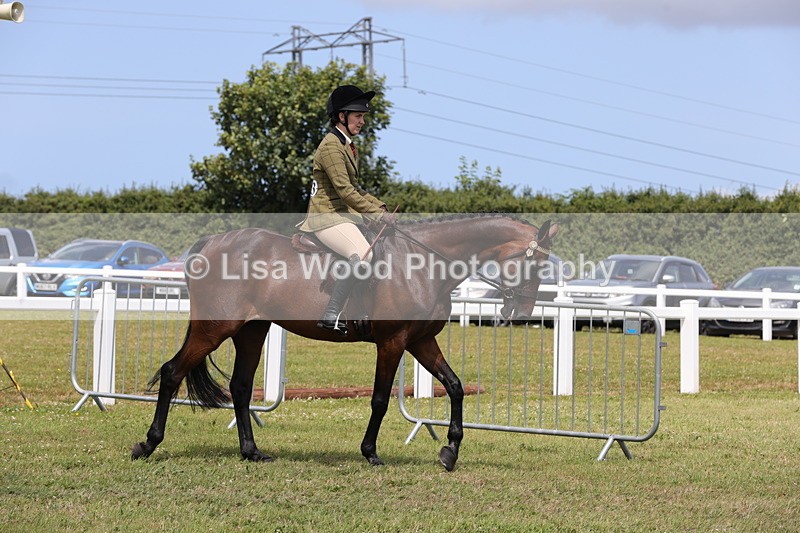 1X9A4279 - Class 34: Veteran Ridden