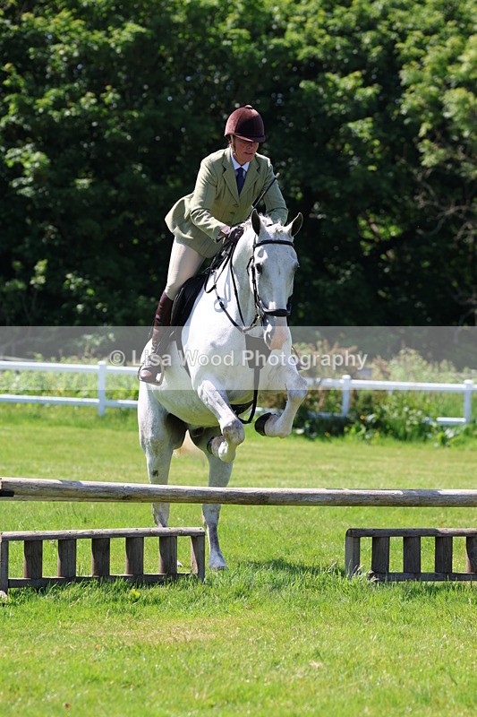 3E7A6900 - Class 30: Novice Working Hunter