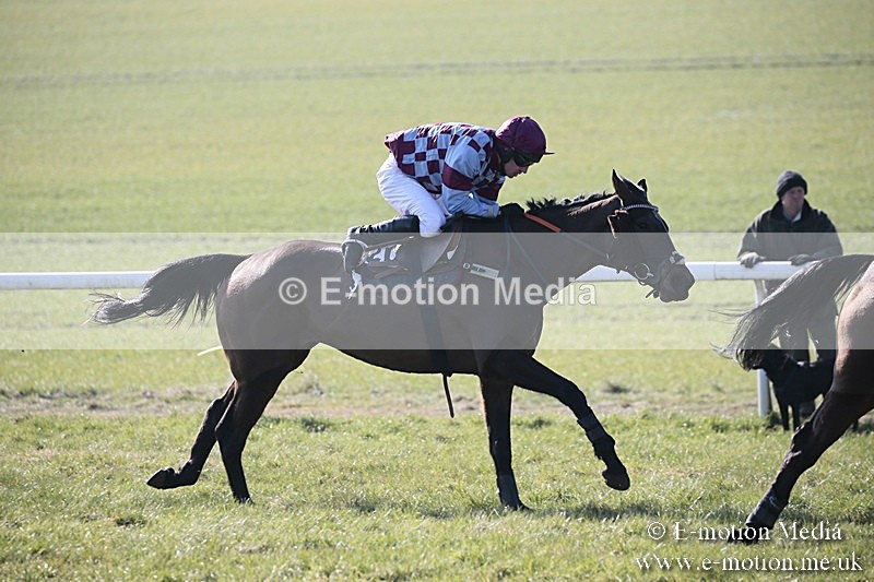 PtP 240218 96 - Vine & Craven Hunt Point-to-Point Barbury racecourse 24/02/18