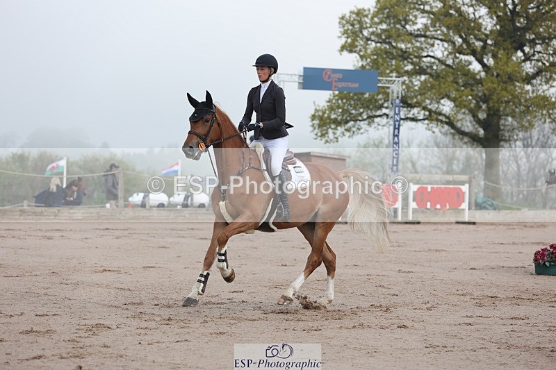 250424-083820-02421 - Cls 25 Young Horse 5yr old