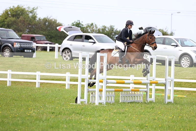 3E7A1603 - Class 13: Senior British Novice/90cm open