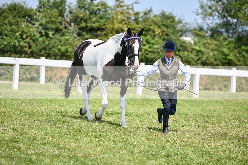 DSC_7848 - Class 65: Coloured Horse 4yrs & Over