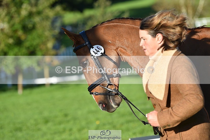 231022-095514-22113 - 446-WANDALUST-Lizzie.Luxton-TrotUp+SJ