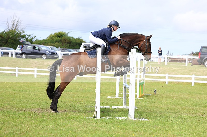 3E7A7543 - Class 13: Senior British Novice/90cm open