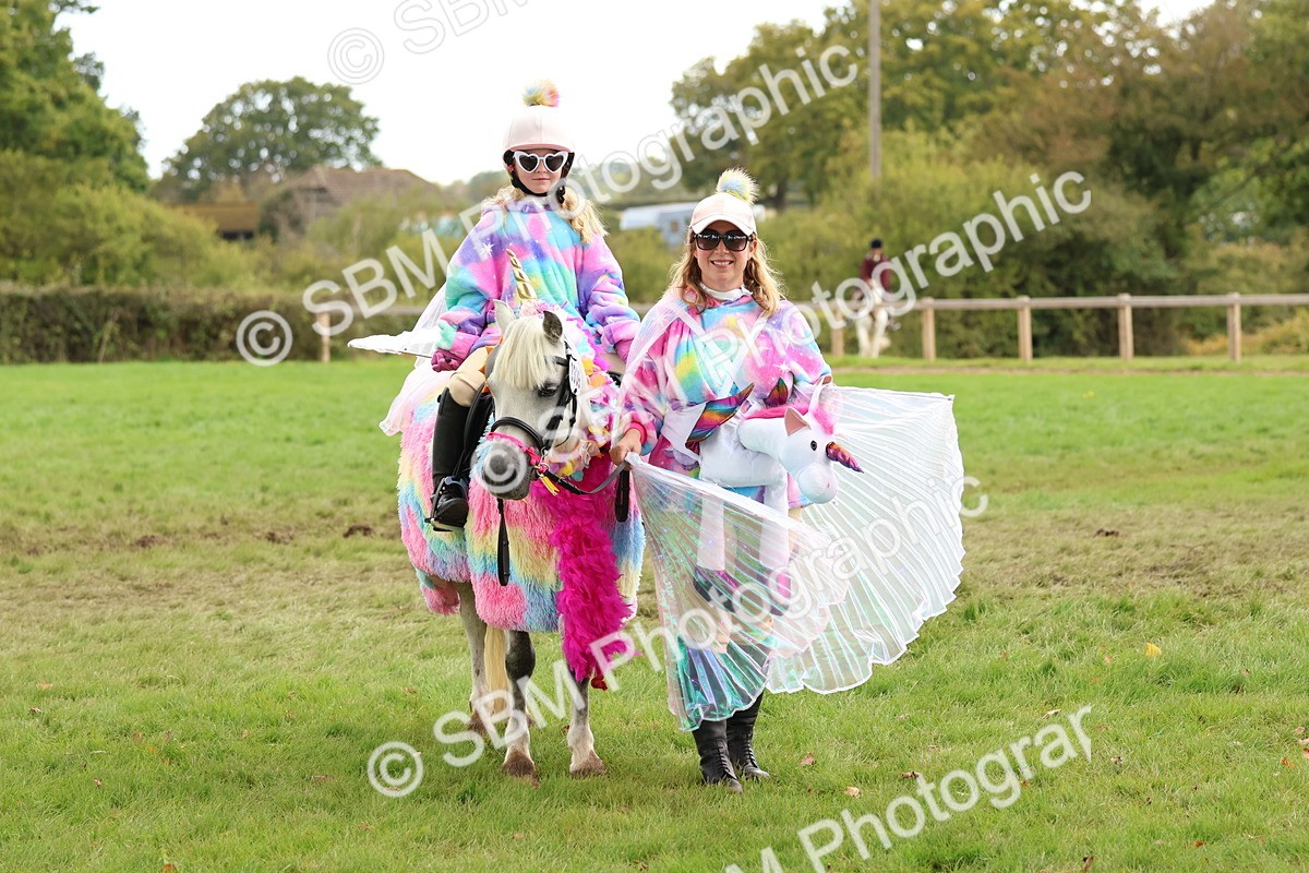 SBM_62237 - S37b - Best Unicorn