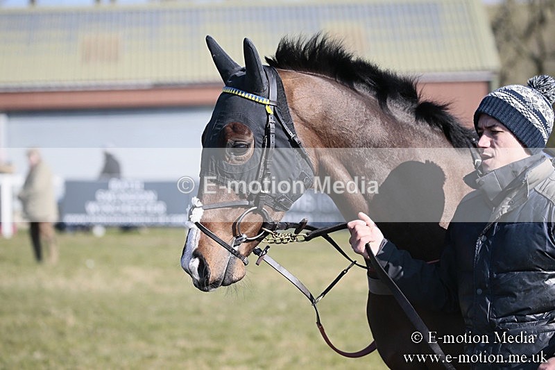 PtP 240218 111 - Vine & Craven Hunt Point-to-Point Barbury racecourse 24/02/18