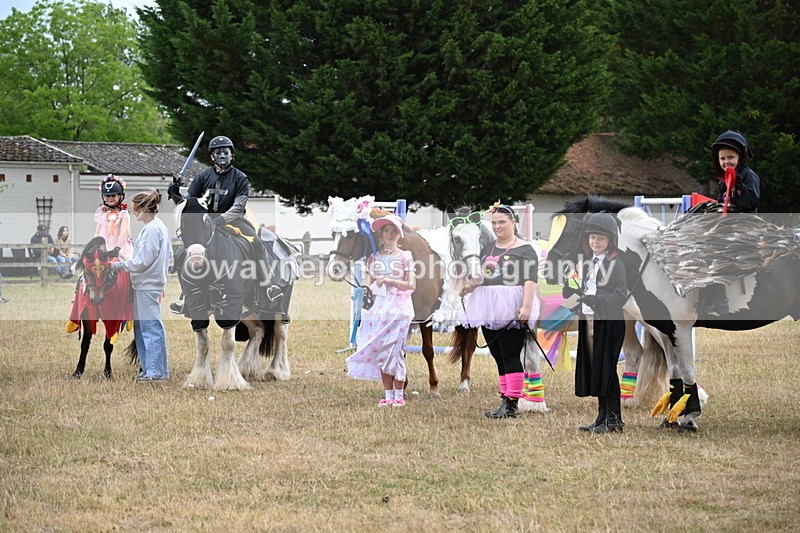 WJ6_9207 - Class 11 Fancy Dress