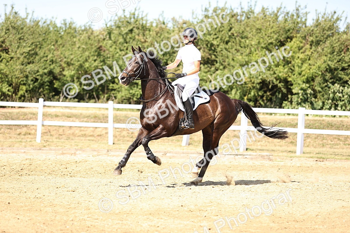 SBM_015449 - Class 16 - Senior foxhunter - 1.20m Open