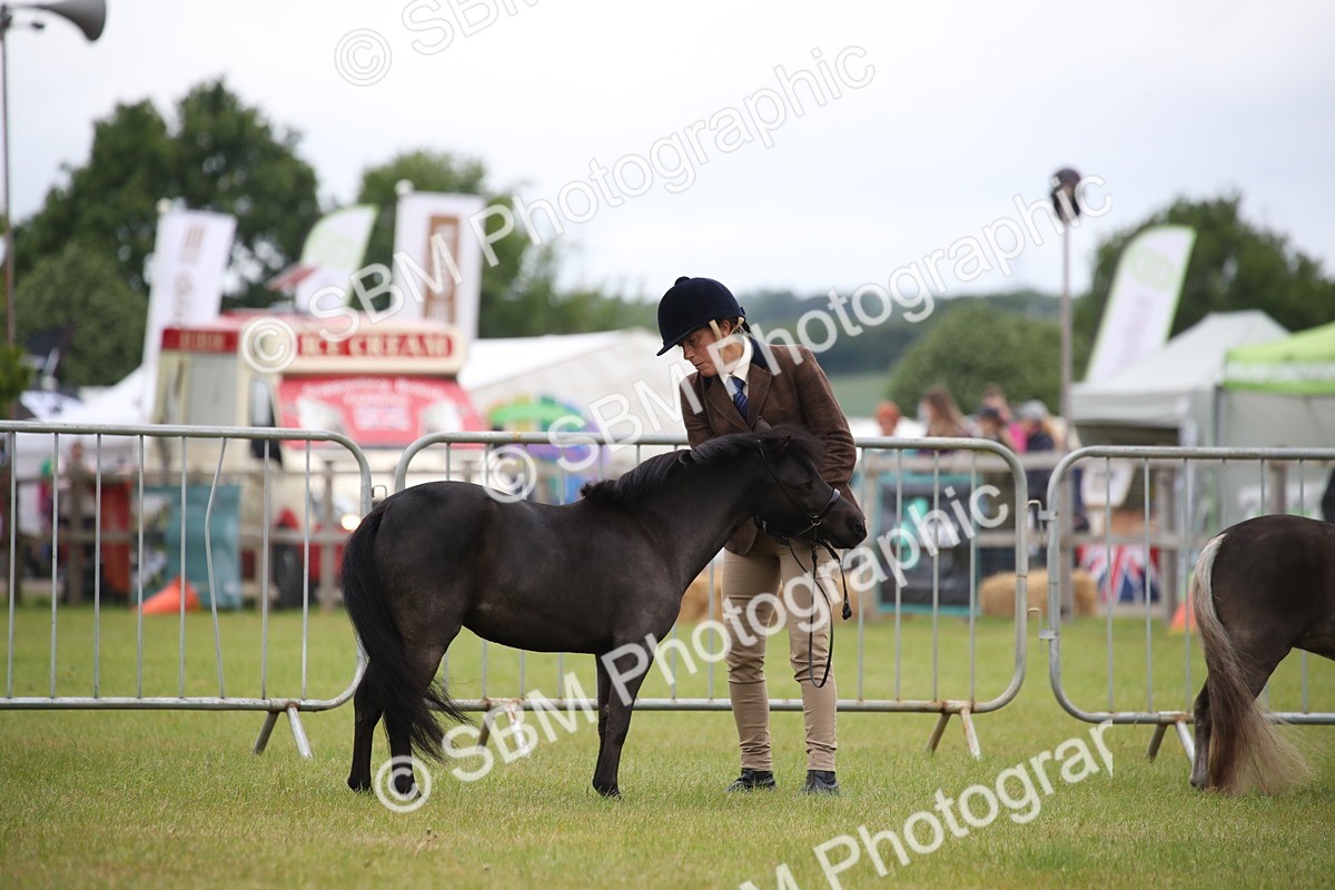SBM_03859 - Class 23-25 - British Miniature Horse of the Year