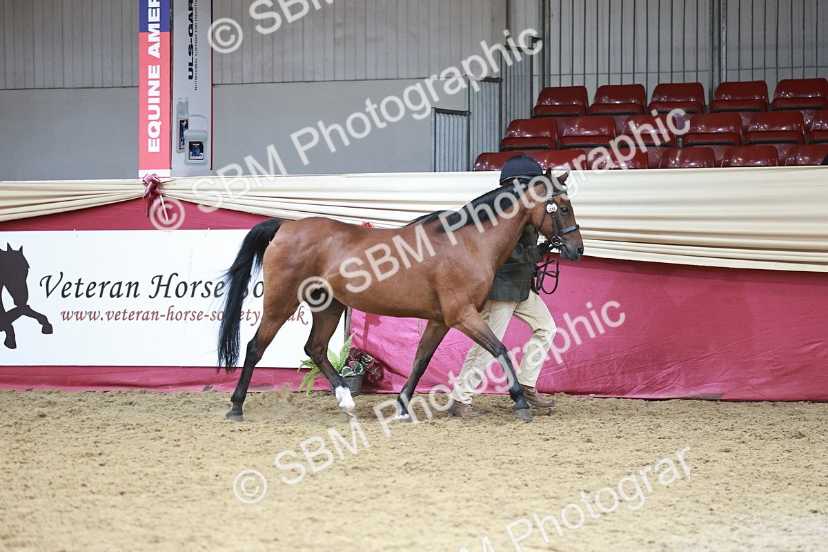 SBM_04695 - Class 7R - Regional IH Diamond