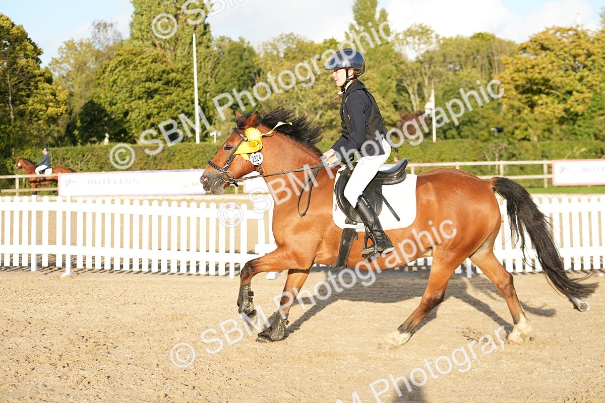 SBM_29555 - J44 - Horse & Hound Open 70cm