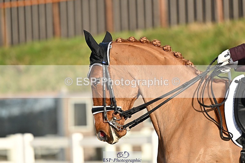 241214-134132-02545 - 112-kelly.jewell-Avalon