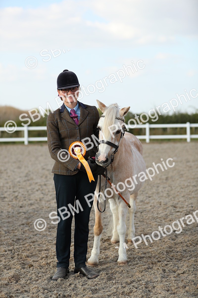 SBM_09099 - Class 29 IH Veteran Pony