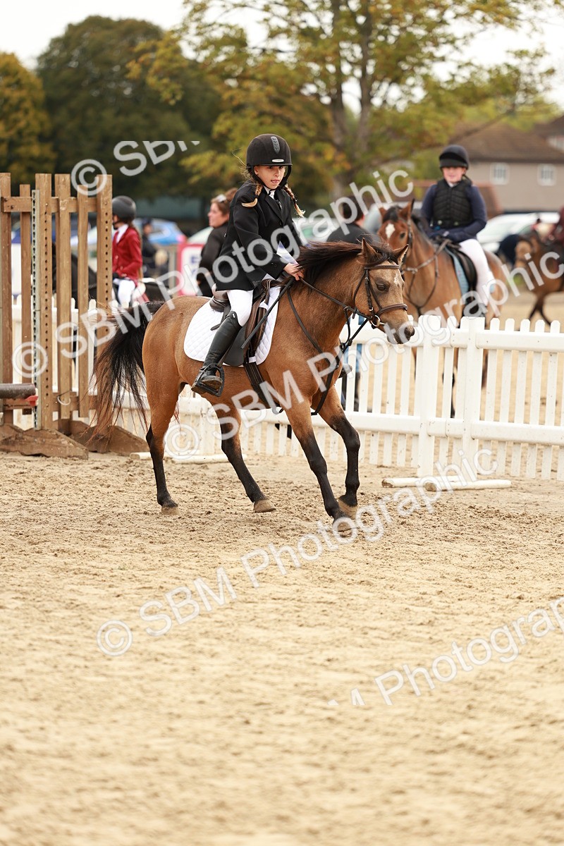 SBM_57829 - J11 - Junior Pony 50cm Championship