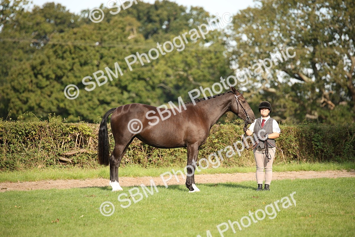 SBM_60080 - S53 - Hunter In Hand