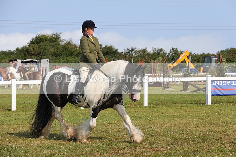 1X9A3356 - Class 28: Ridden Native/Trad Coloured Pony