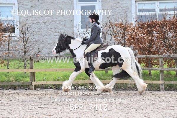 BPP_7412 - RING 1  (RIDDEN HORSES / IN HAND / VETERAN ETC)