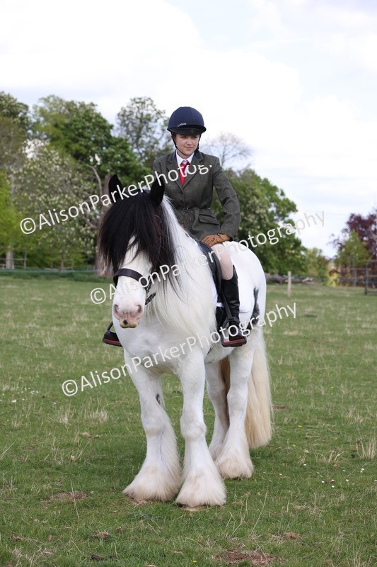 20250427-4085 - Class 34 - Best Riding Horse Over 14.2hh