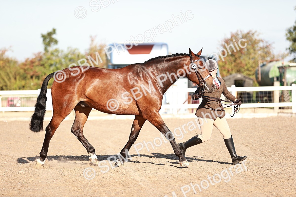 SBM_11165 - Class 401 - IH  Veteran horse