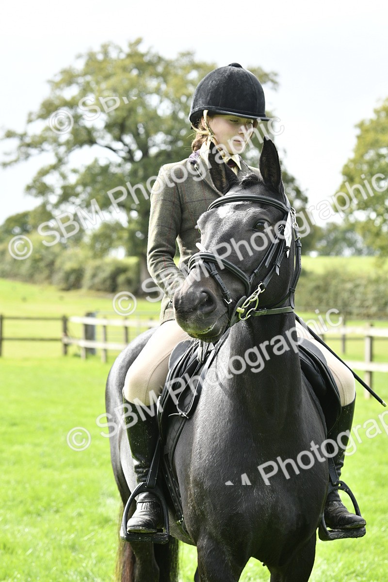 SBM_41586 - S32 - Mountain & Moorland Working Hunter Pony