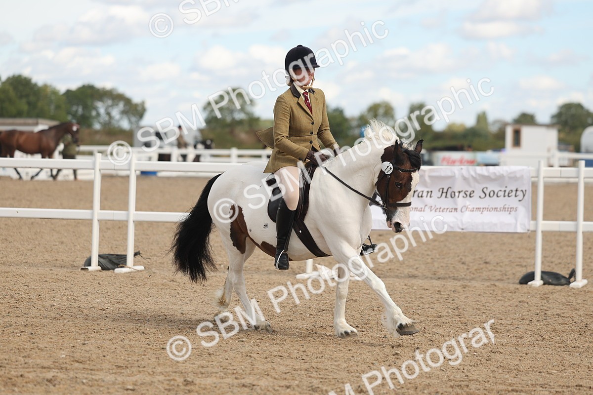 SBM_14650 - Class 307 - Ridden Coloured Pony