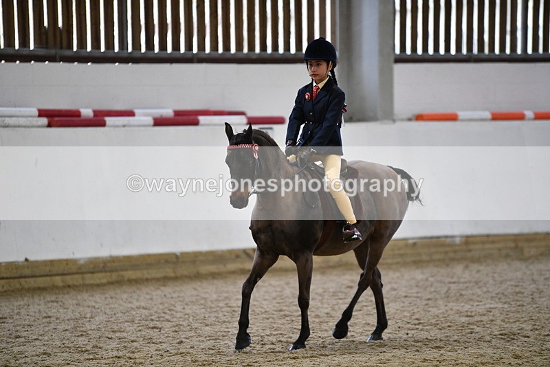 WJ5_6933 - Class 10 Childs Pony
