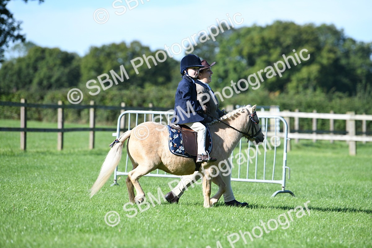 SBM_36734 - S18 - Novice & Newcomers Lead Rein Pony