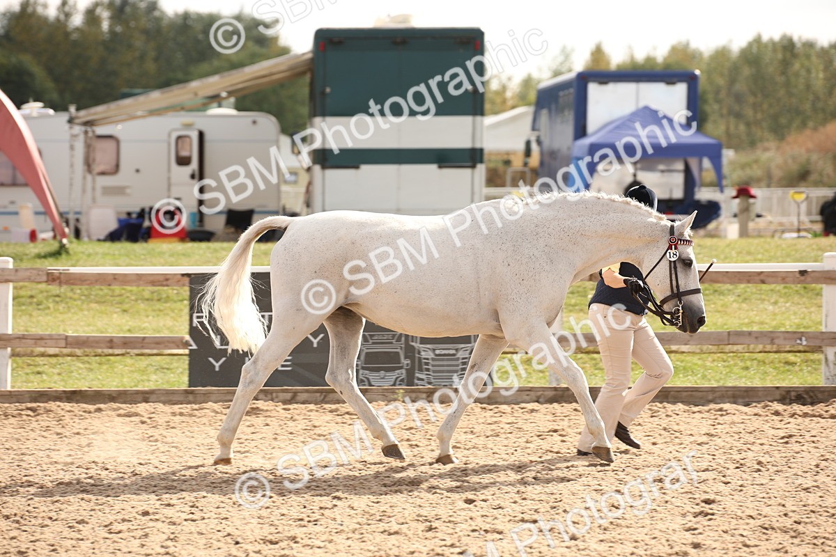 SBM_08189 - Class 27 - IH Competition Horse-Pony