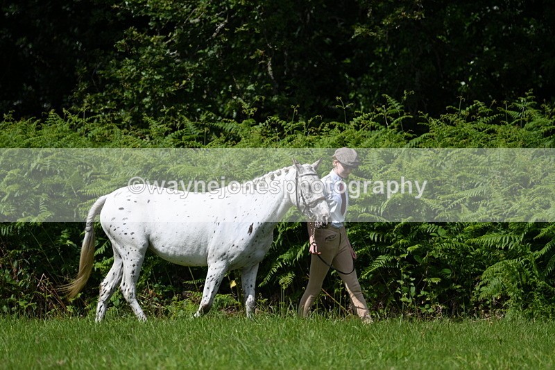WJ7_1507 - Class 11 Condition & Turnout