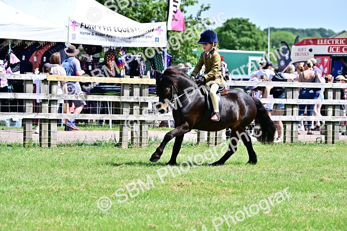 SBM_06101 - Class 59-60 - TSR M&M  Lear Rein and First Ridden Amateur of the year