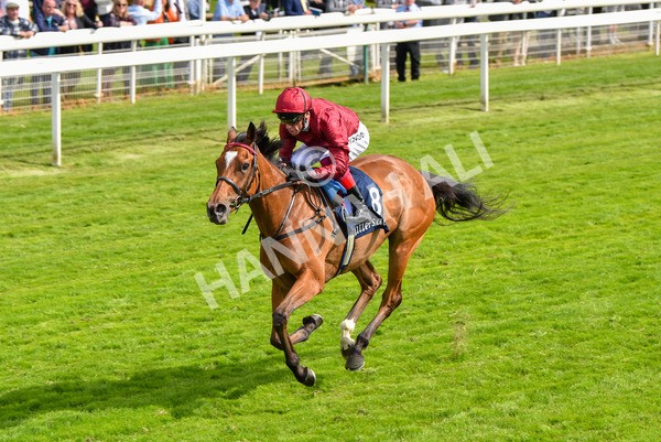 170523-Race 4-Soul Sister-8759 - Race 4 3.35pm Tattersalls Musidora Stakes