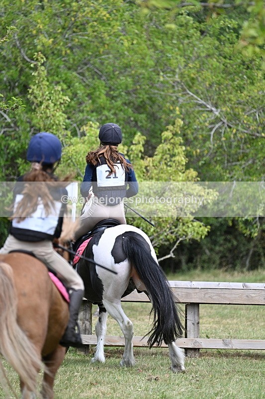 WJ7_5694 - 80cm XC Pairs