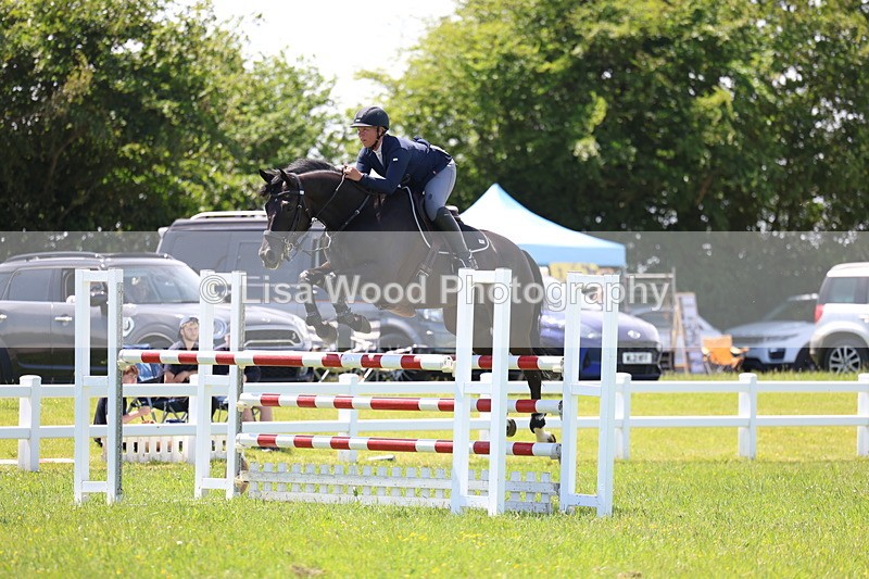 3E7A1224 - Class 12: Senior Foxhunter/1.20 open