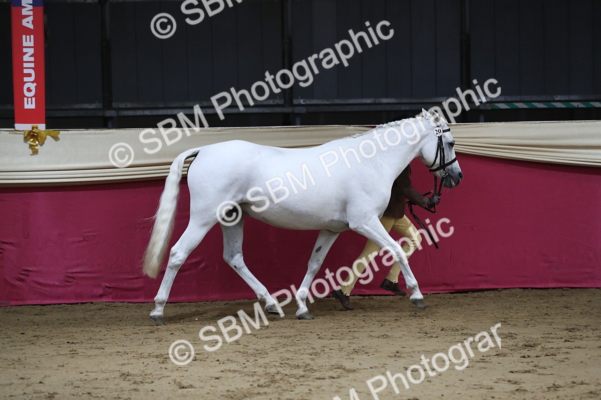 SBM_05023 - Class 8R- Regional -IH Veteran