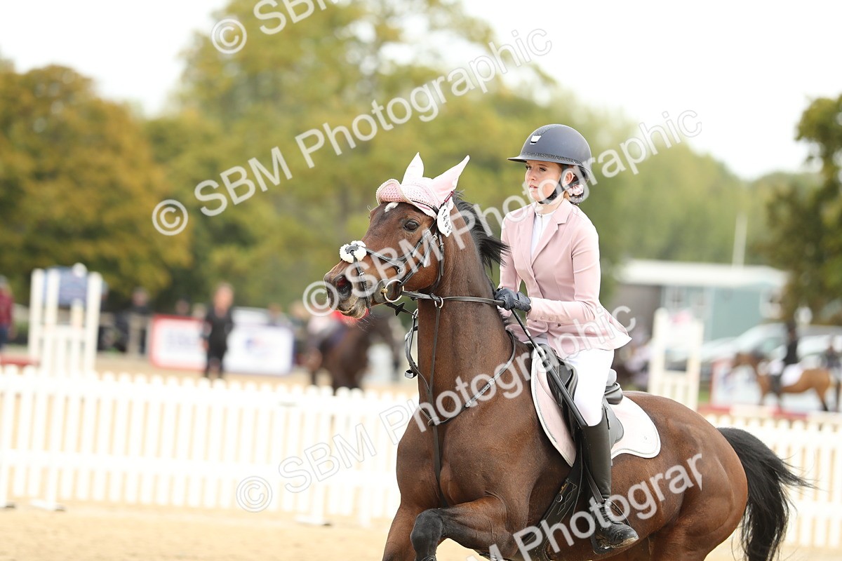 SBM_58658 - J25 - Junior Horse 80cm Championship