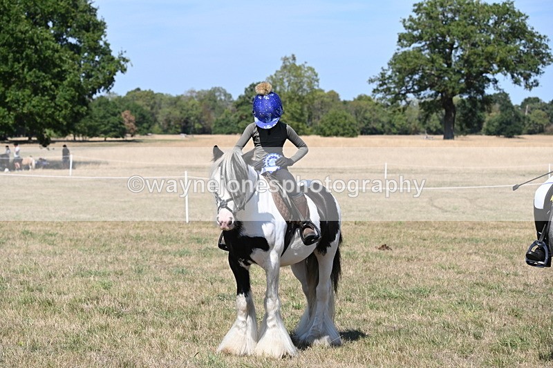 WJ6_9084 - Class 38 Ridden Riding Horse/Pony