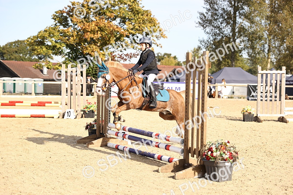 SBM_59713 - J11 - Junior Pony 50cm Championship