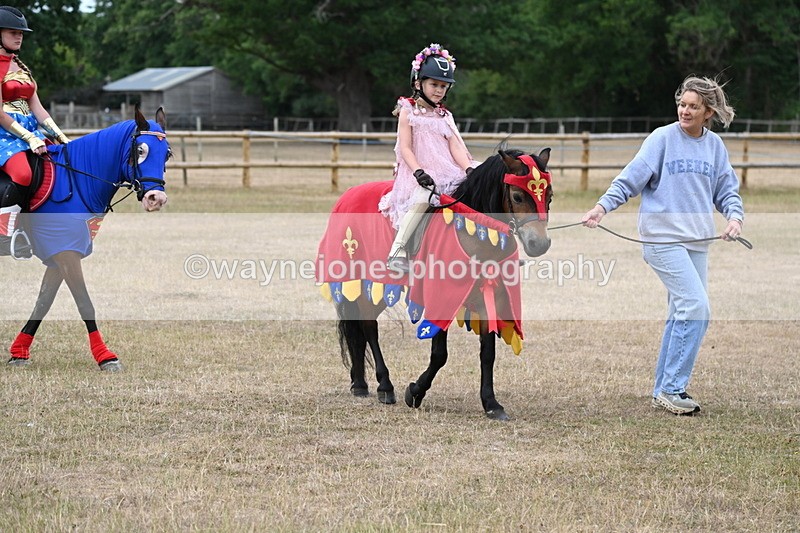 WJ6_8657 - Class 11 Fancy Dress