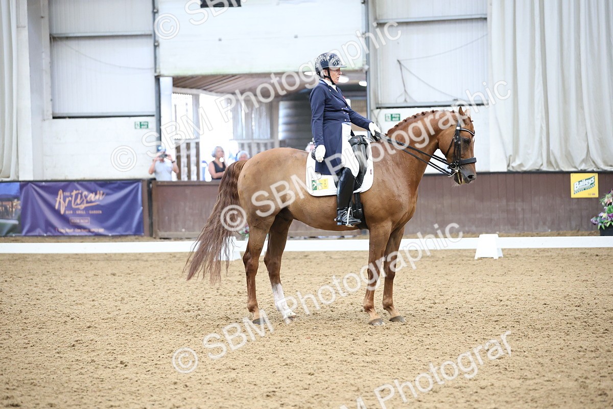 SBM_004764 - Class 9 - FEI Inter 1 Gold - 16.59-17.47
