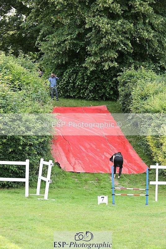 240711-191121-29684 - Cls 210 Jolly Jumps Run and Run