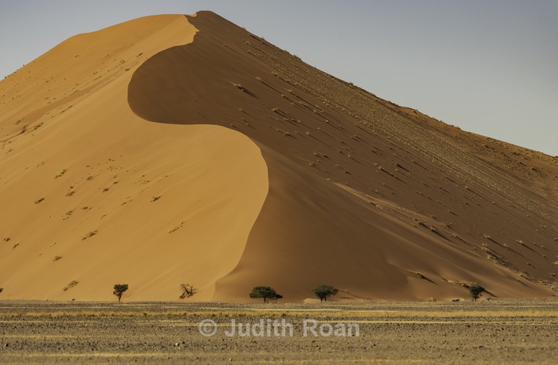 Namibian Dune - Namibia 2022