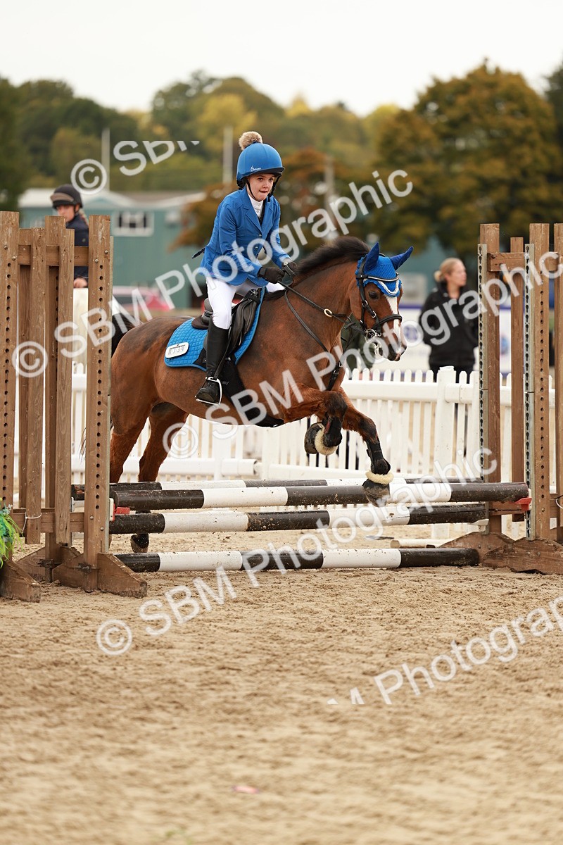 SBM_57862 - J11 - Junior Pony 50cm Championship