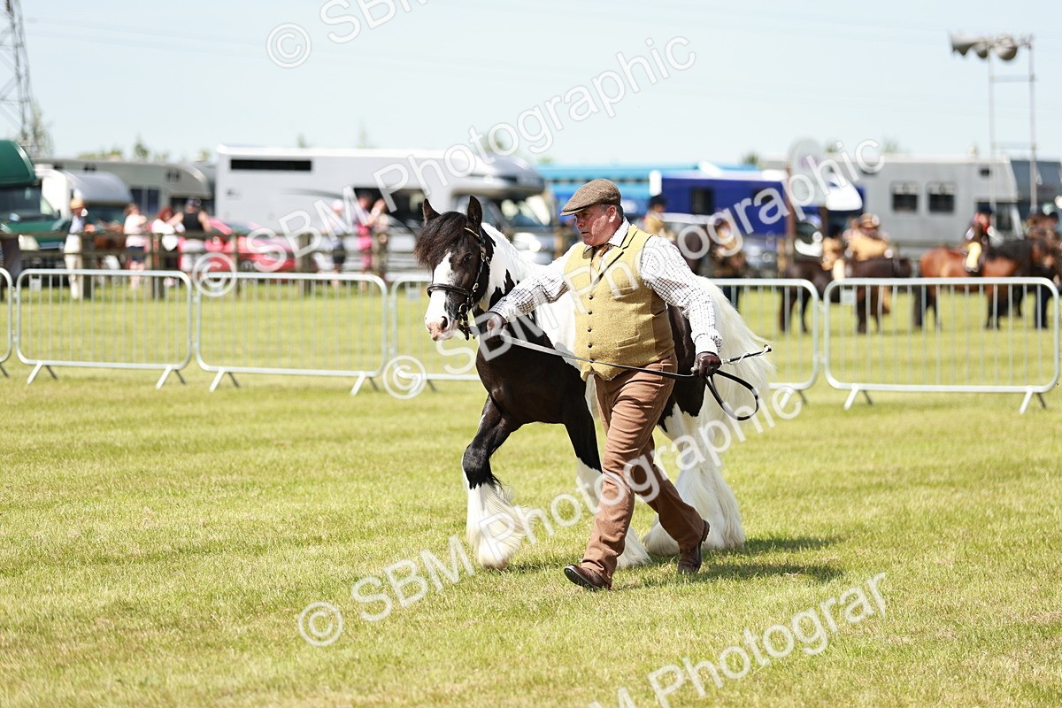 SBM_04253 - Class 39-40 - BSPA Coloured In Hand