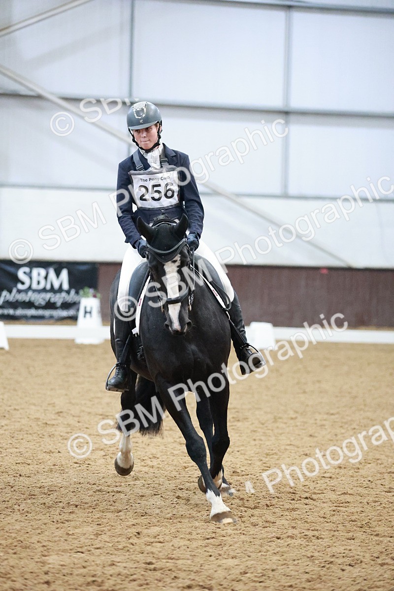 SBM_004616 - Ring 3 - International -  Working Hunter Classes 23-2-25