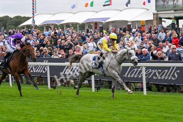200825-Race 2-Gewan-1299 - Race 2 2.25pm Tattersalls Acomb Stakes