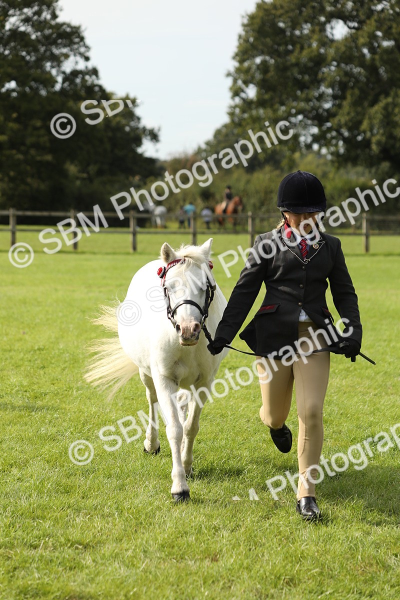 SBM_68683 - S40 - Junior Handler 9-12 Years