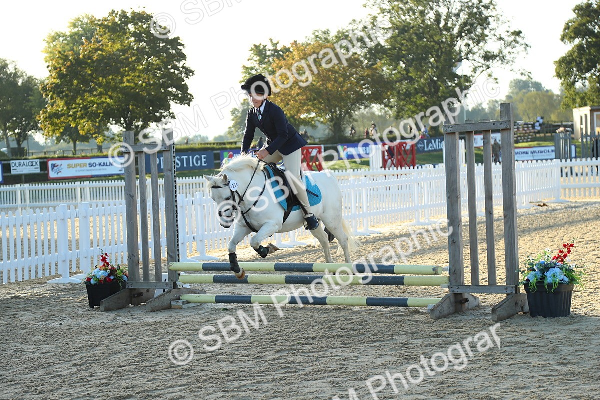 SBM_34858 - J5 - Junior Pony 50cm Championship